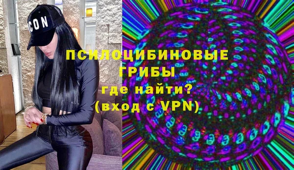 дурь Алзамай
