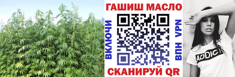 МЕГА вход  где можно купить наркотик  Глазов  ТГК гашишное масло 