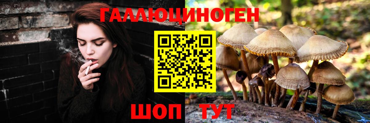 Глазов  Галлюциногенные грибы мухоморы  Вход с VPN 