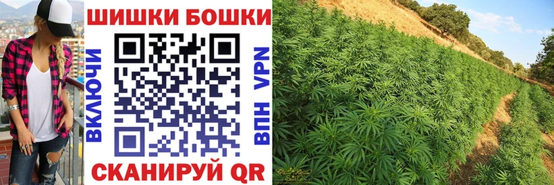 Конопля план  что такое наркотик  Глазов 