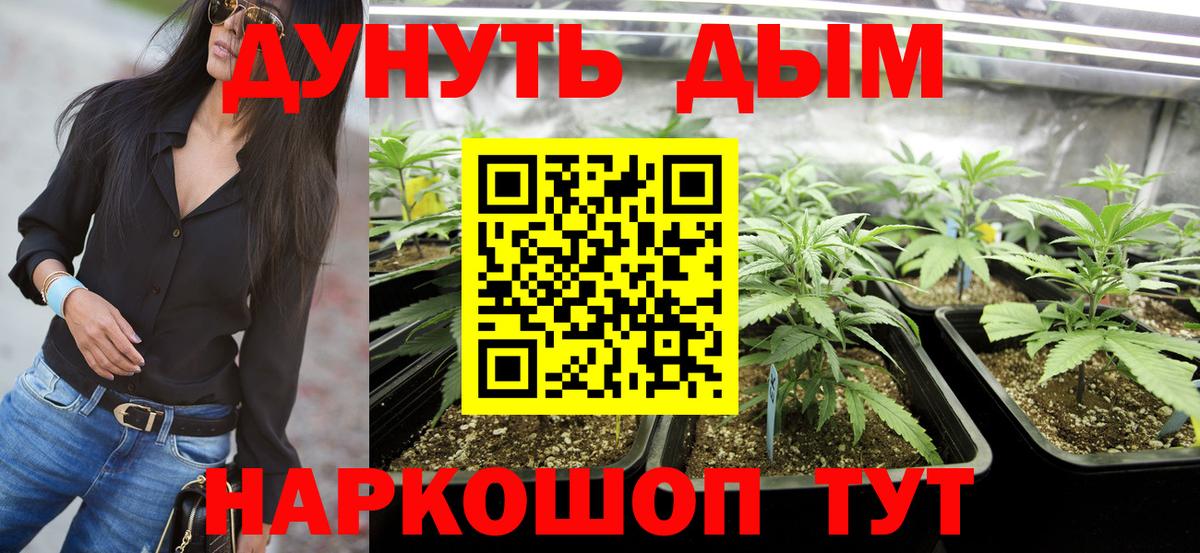 МАРИХУАНА Ganja  Канабис сатива  Вход с VPN  Канабис план  Глазов 